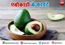 एवोकाडो के फायदे Benefit Of Avocado