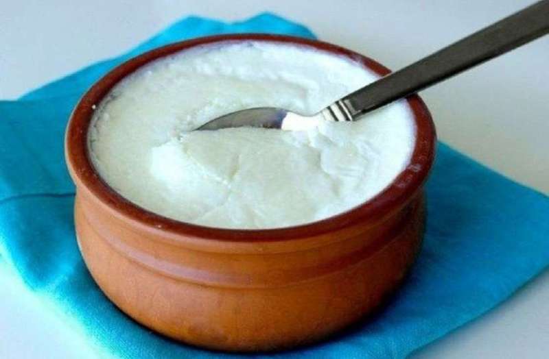 Yogurt For Weight Loss: मोटापा कम करने से लेकर शरीर को कई फायदे पहुंचाता है दही का रोजाना सेवन