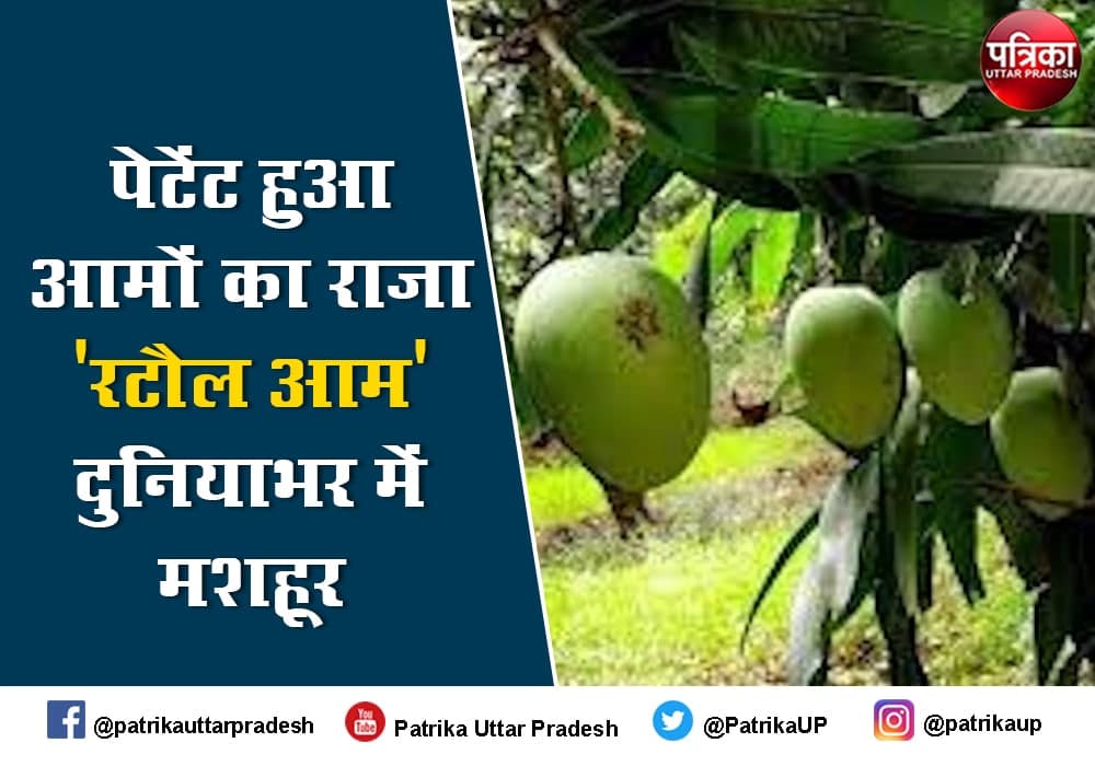 World Famous Rataul Mango Got Patent in Varanasi