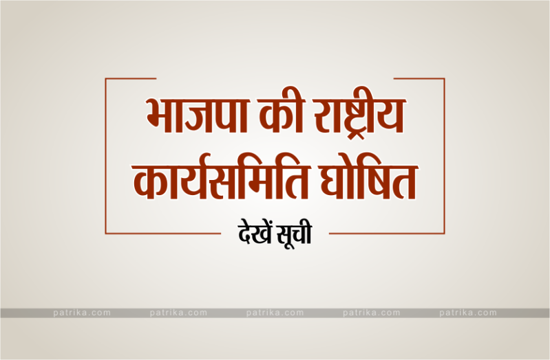 भाजपा की राष्ट्रीय कार्यसमिति में एमपी के यह दिग्गज शामिल-देखें सूची