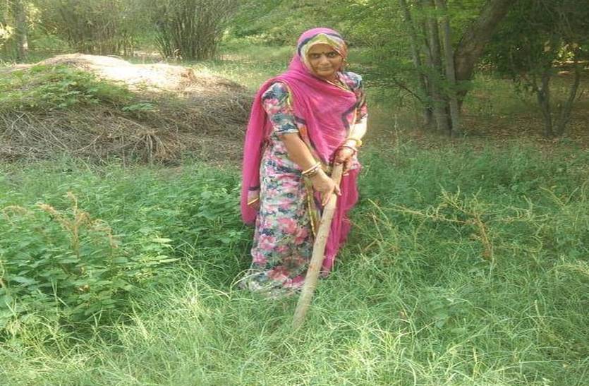 बोली प्रधान- अंतिम छोर तक पहुंचाएंगे योजनाओं का लाभ