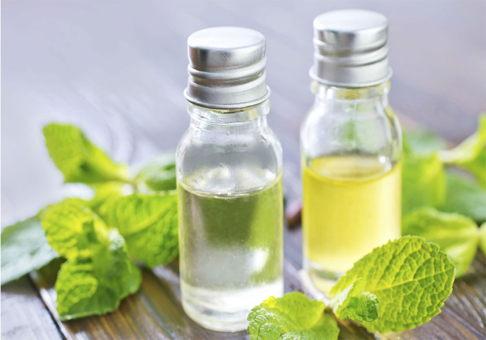 Mentha Oil Price Mentha Oil Rate Mint Oil rate n Price 10-10-2021