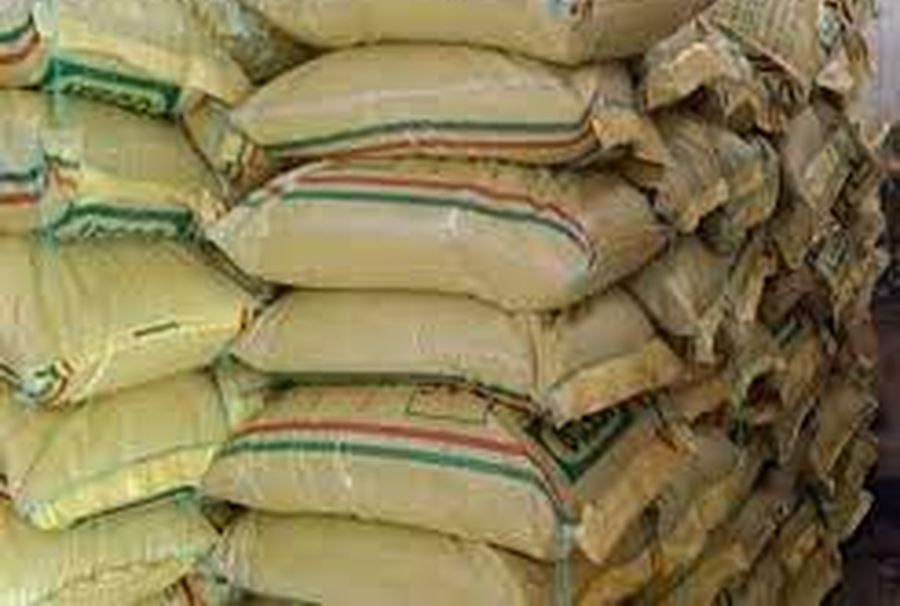 DAP price hiked डीएपी के दाम में 150 रुपए की बढ़ोतरी, किसान हुआ मायूस