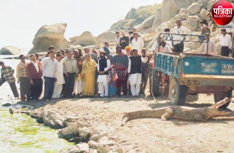 कागजों में रेंग रही घड़ियाल पार्क व मगरमच्छ प्रजनन की योजना