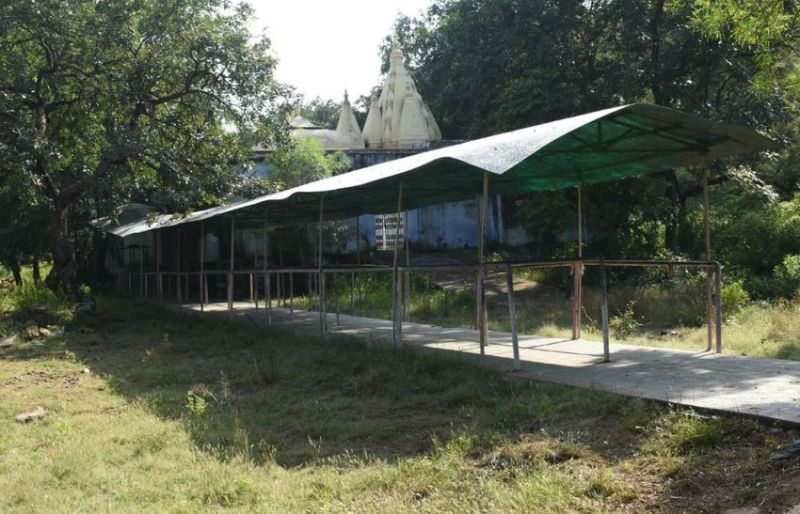 मेलों पर रोक से बदली जंगल की आबोहवा, पर्यावरण निखरा