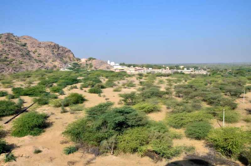 .हे मां..तुम बन जाओ ओरण-गोचर की रक्षक ....