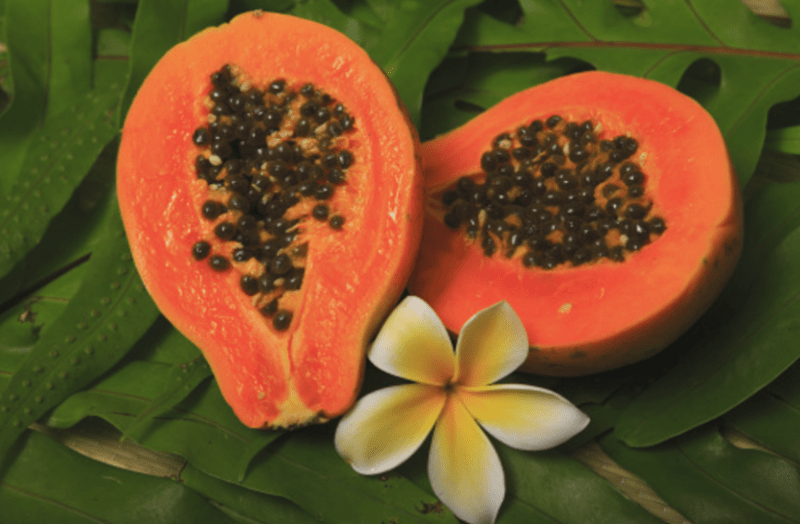 papaya