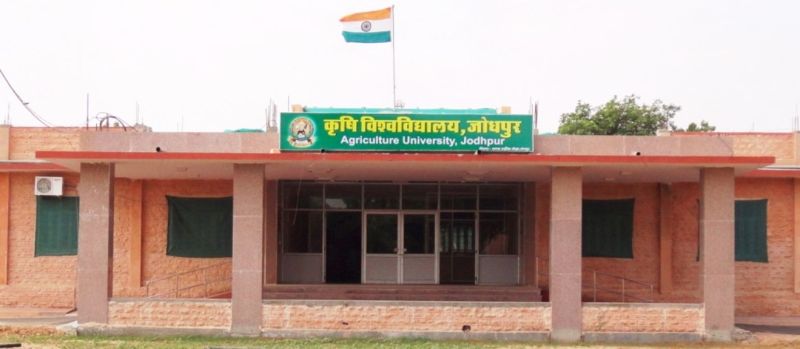 AU----बालेसर का खुडिय़ाला गांव बन रहा 'स्मार्टÓ