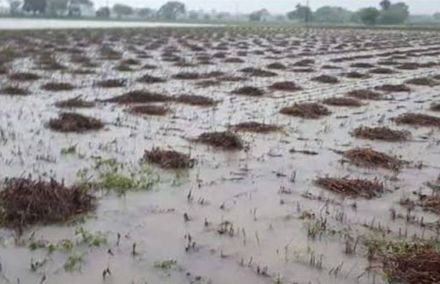 सांगोद क्षेत्र में बारिश के बाद खेत मे जलमग्न फसल