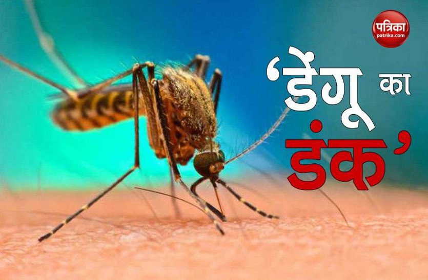 दुर्ग जिले में मिले डेंगू के दो मरीज, इधर भिलाई के 11 हजार से ज्यादा घरों पनप रहा डेंगू का खतरनाक लार्वा