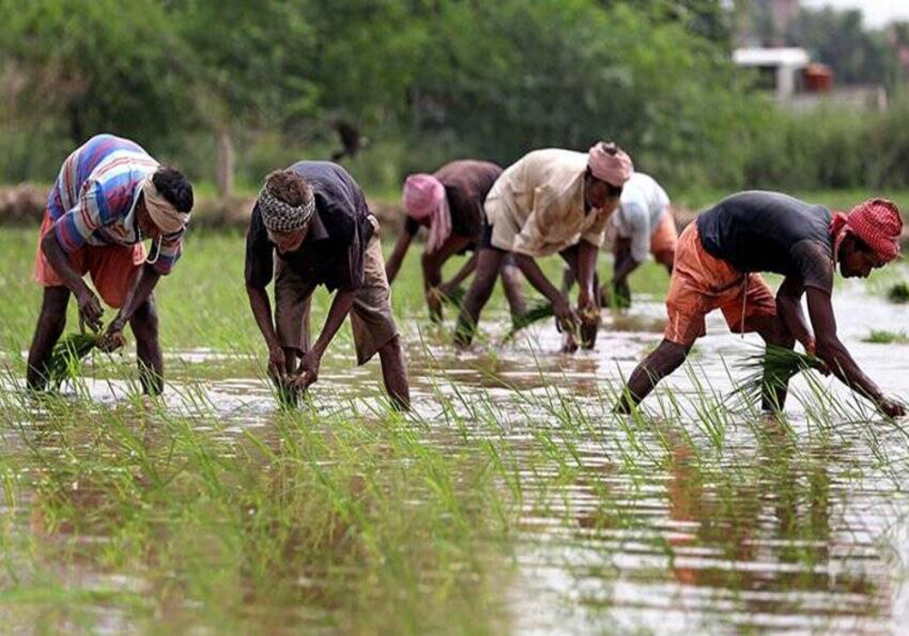 बाढ़ से खराब हुई दो लाख किसानों की फसल, मुआवजा देगी सरकार