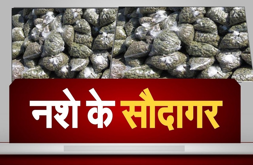 गांजा तस्करी रोकने के लिए डीजीपी और स्पेशल डीजी नक्सल ऑपरेशन करेंगे कार्रवाई