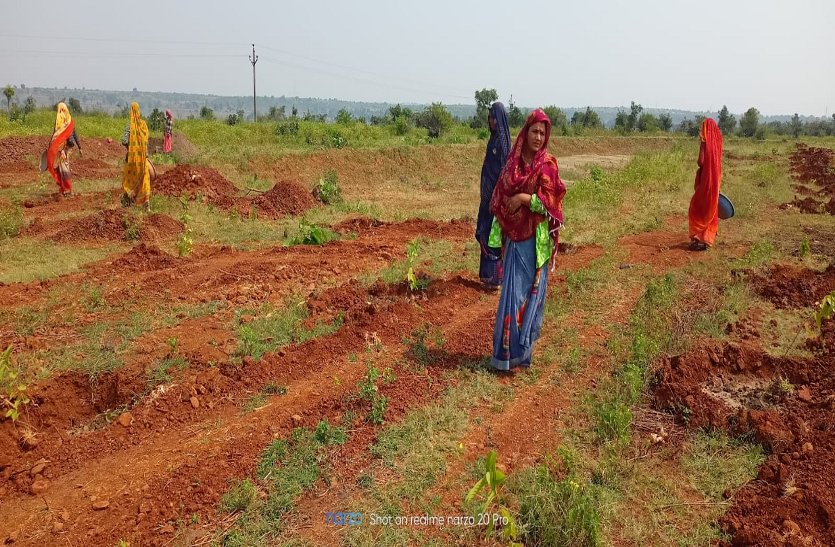 जिले में महिला समूह बना रहे फलोधान और पोषण वाटिका