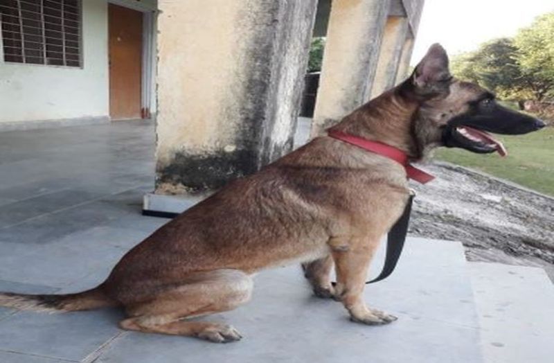 हत्या सहित कई वारदात खोल चुका है 'जुनून'