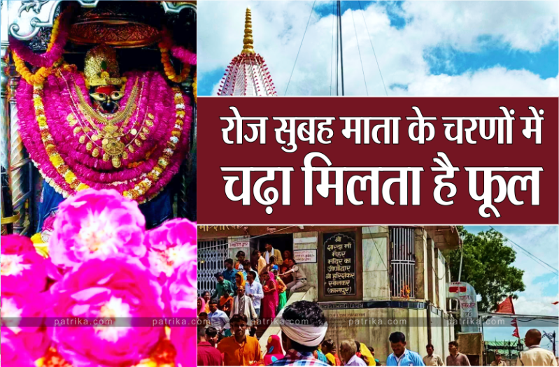 Who gives flowers everyday, devotees came out to know this secret