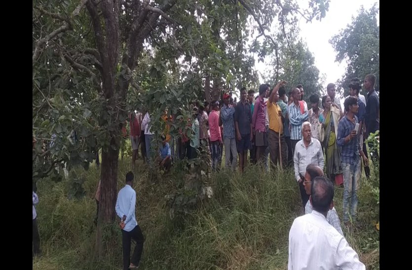 खेत में धान काट रही महिला का तेंदुआ ने किया शिकार, मौत