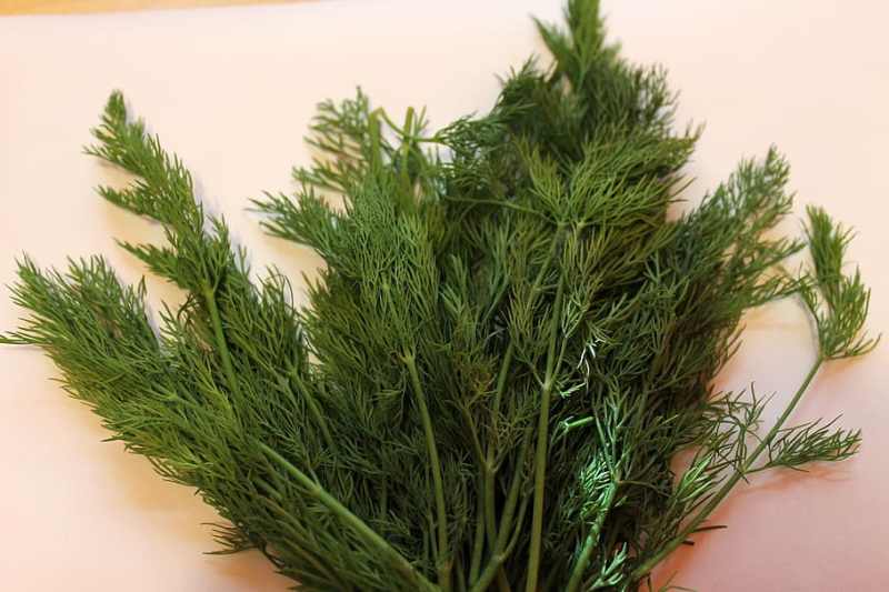 dill.jpg