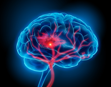 Amazing Facts about Human Brain: आइए जानते हैं मानव दिमाग के आश्चर्यजनक तथ्य के बारे में