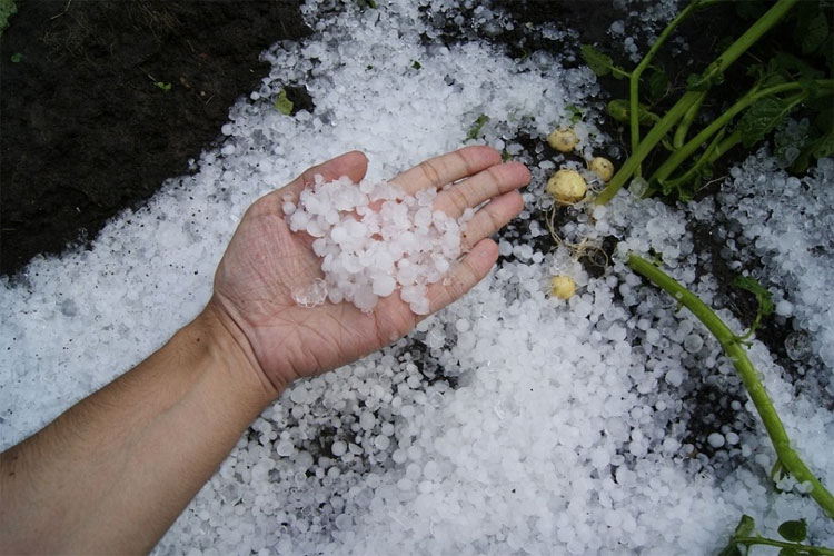hailstorm_in_rajasthan.jpg