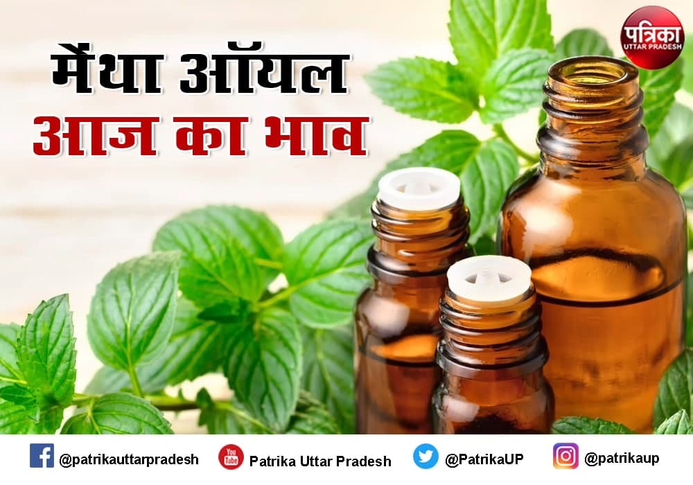  Mentha Oil Rate Mentha Oil Price Mint Oil rate n Price