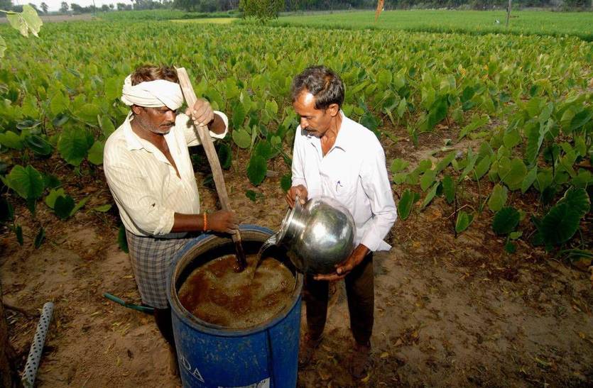 आंध्रा ने दो साल में कर दिखाई जीरो बजट खेती, हम आधे-अधूरे प्रशिक्षण तक सीमित