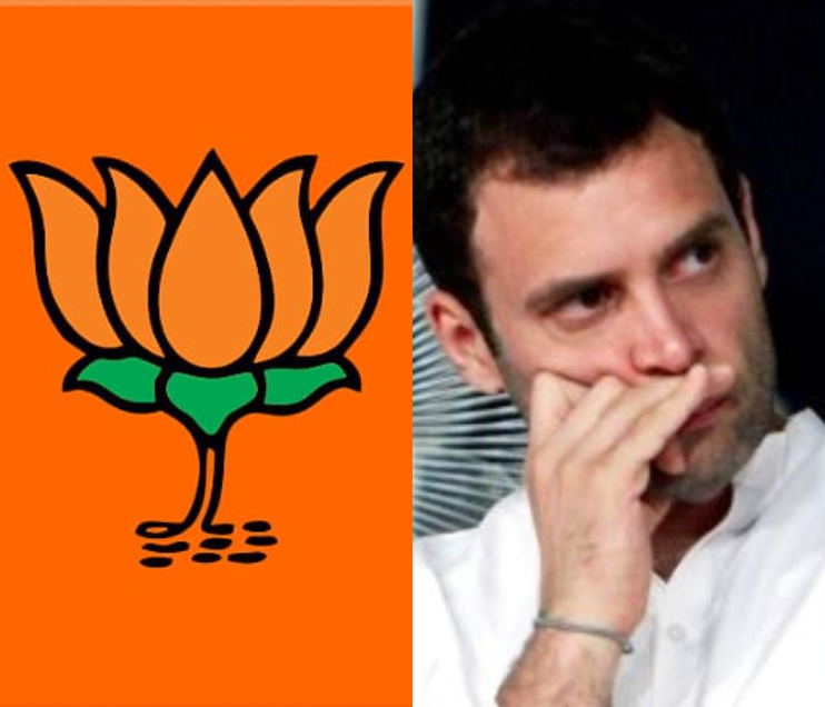 BJP takes dig at Rahul Gandhi