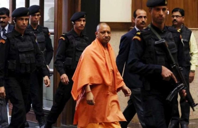 yogi_1.jpg