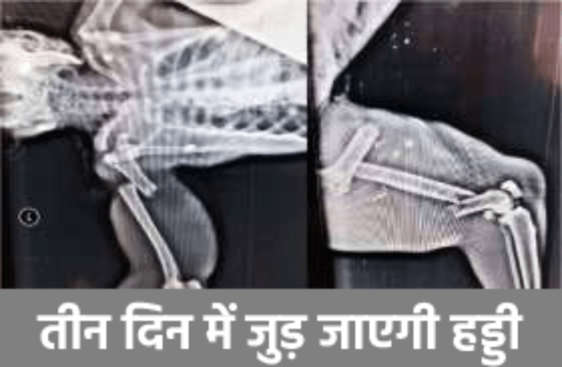 Now the broken bone will be joined in three days