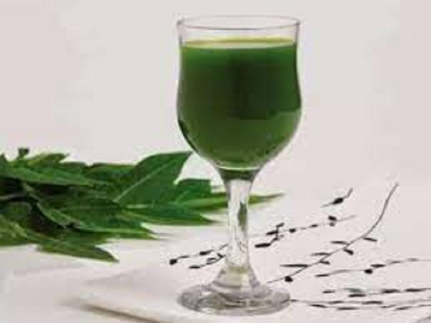 dengue fever treatment with papaya leaves juice, how effective