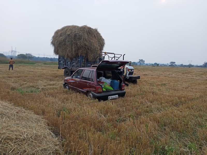 समितियों पर नहीं हैं यूरिया, निजी दुकानदार कर रहे कालाबाजारी, कृषि विभाग बना अनजान