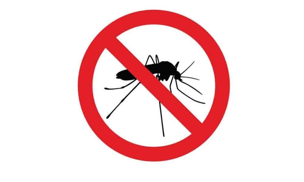 शिवमोग्गा में घटे मलेरिया और डेंगू के मामले