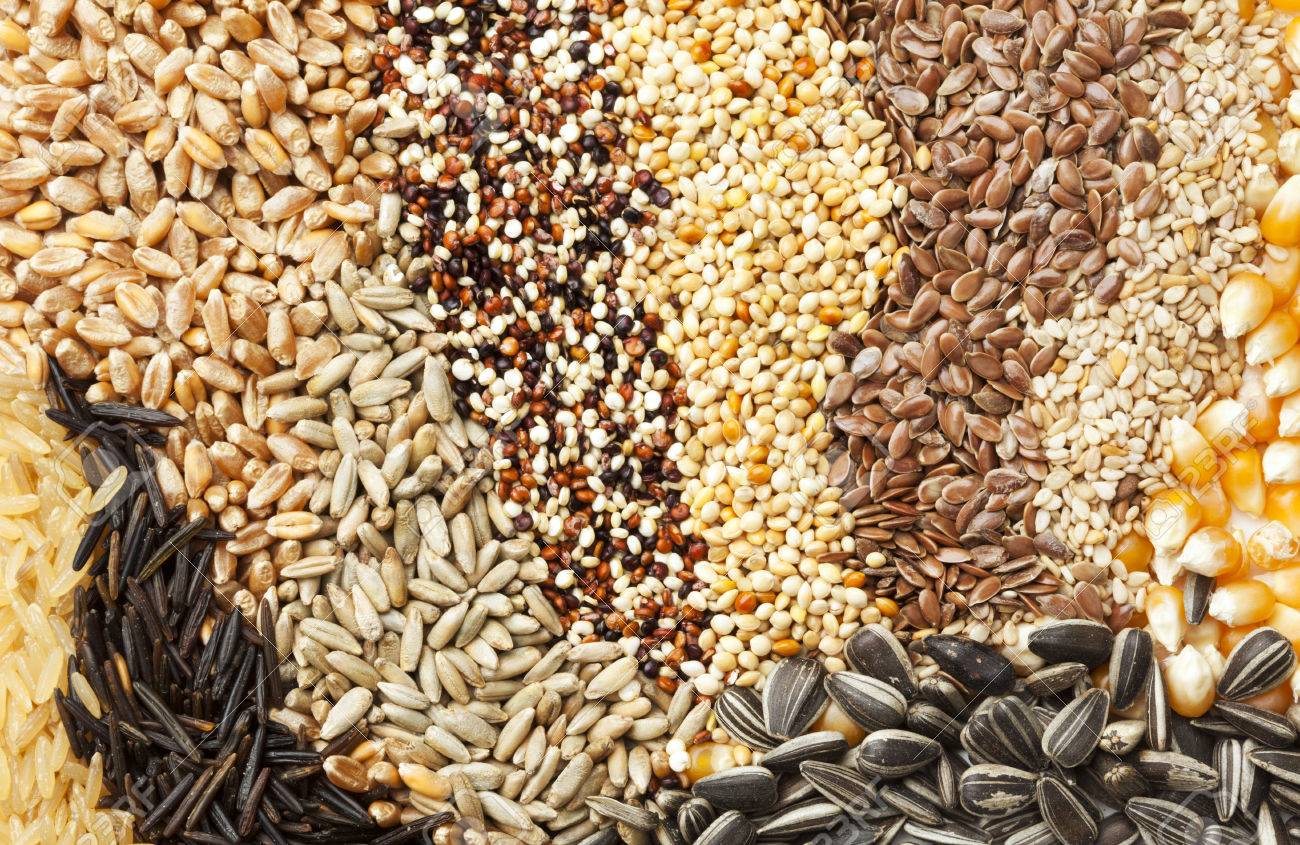 healthy seeds.jpg