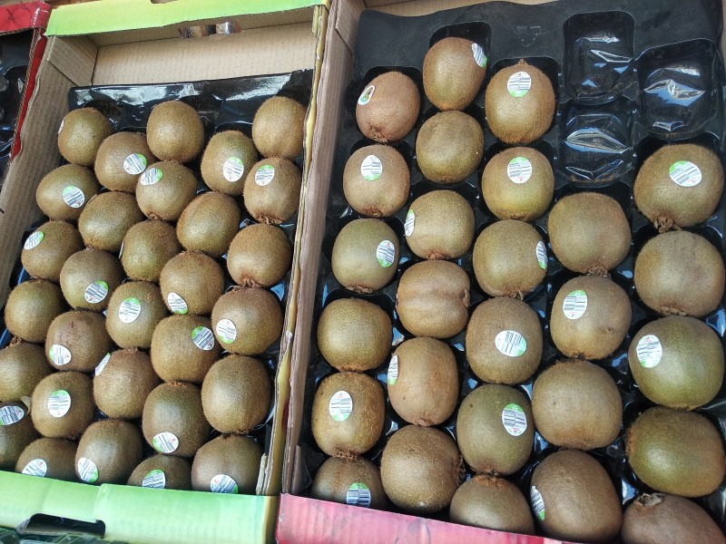 कीवी, पपीता व नारियल पानी की दोगुनी मांग, भाव भी बढ़े