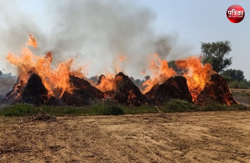 आग से खेत में रखी 15 ट्रॉली ज्वार की कड़बी जली