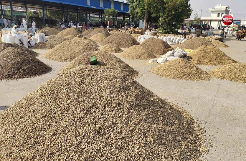 निवाई मण्डी में मूंगफली की बंपर आवक, एक दिन में आ रही पचास हजार बोरी