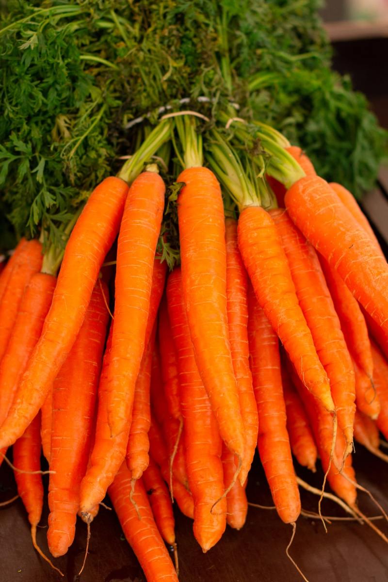 Health Benefits of Carrot: जानिए सर्दियों में गाजर खाने के फायदे, जो आपके सेहत को स्वस्थ रखने में आपकी मदद करता है