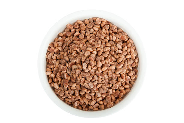 Health Benefits of Chironji: अगर आप खुद को बीमारियों से बचाना चाहते हैं तो करें चिरौंजी का सेवन