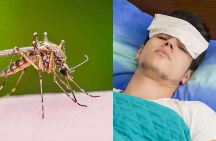 zika_4.jpg