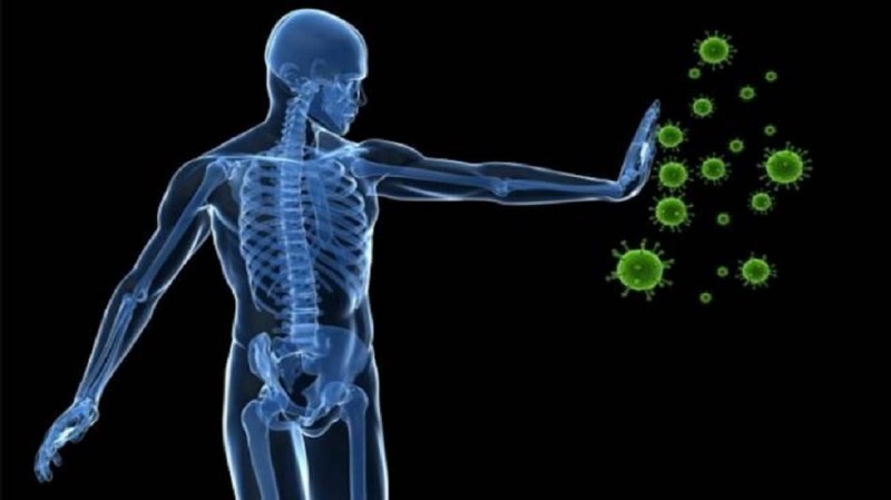 इम्युनिटी को बनाना चाहते हैं मजबूत, तो डाइट में इन चीजों के सेवन से बचें