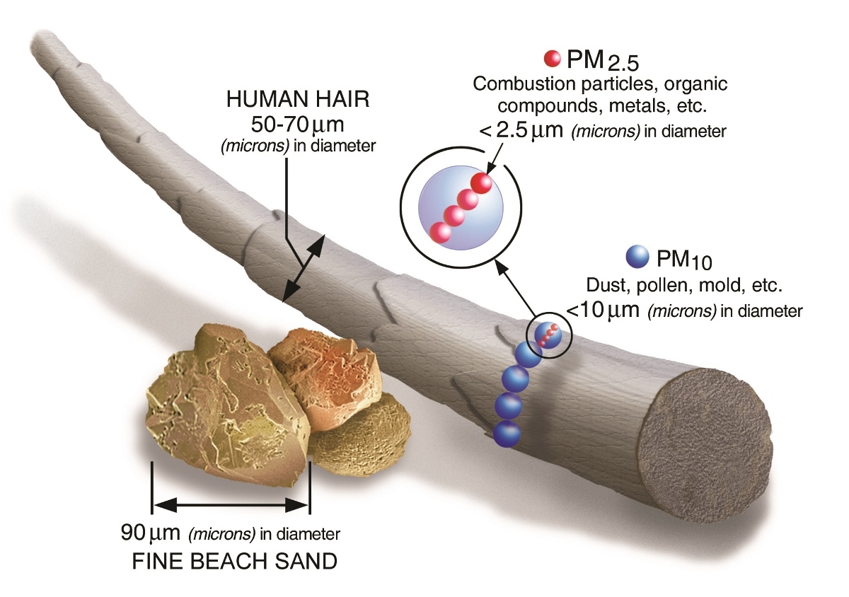 What is PM2.5 : PM2.5 क्या होता है और जानिए PM2.5 हमारे स्वास्थ्य को कैसे प्रभावित करता है