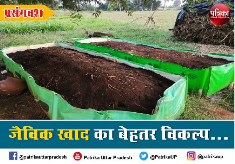 Opinion रासायनिक खाद की जगह जैविक खाद का प्रयोग है समय की मांग