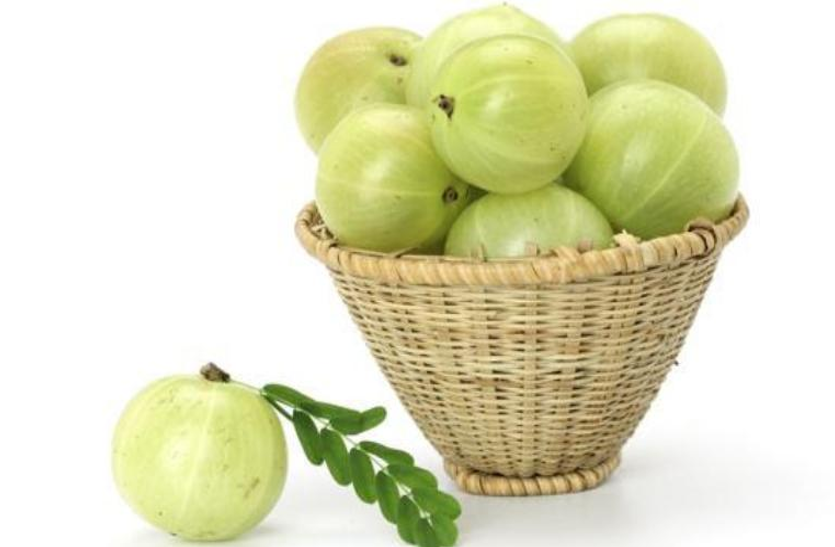 सर्दियों के मौसम में जरूर करें 'आवलें' का सेवन इम्युनिटी होगी मजबूत