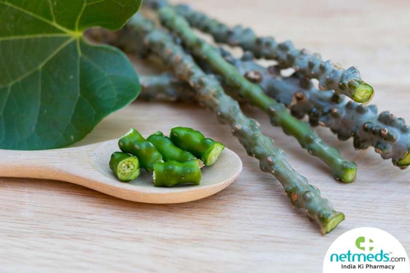 Health tips :  गिलोय बढ़ता है आपके आंखों की रोशनी , जानें गिलोय के फायदे