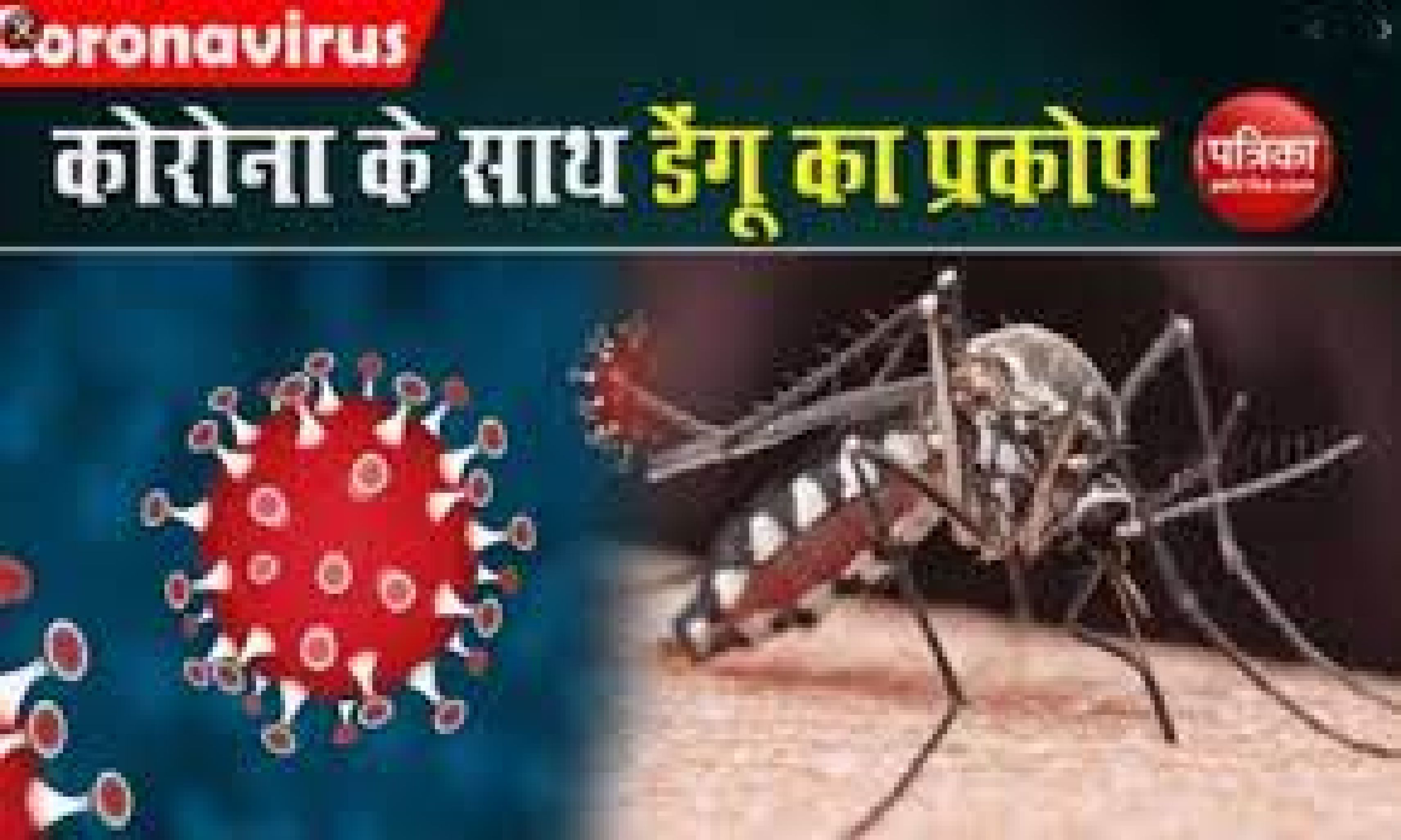 दो दर्जन से अधिक डेंगू रोगी मिले