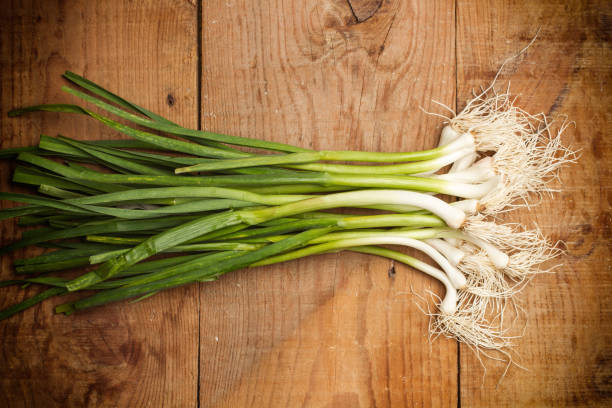 Benefits of Green Garlic: आइए जानते हैं हरा लहसुन खाने के फायदे जो स्वास्थ्य के लिए फायदेमंद होता है