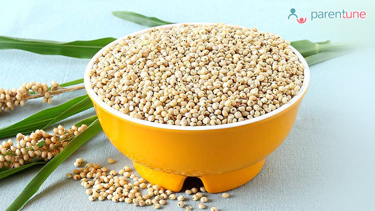 jowar
