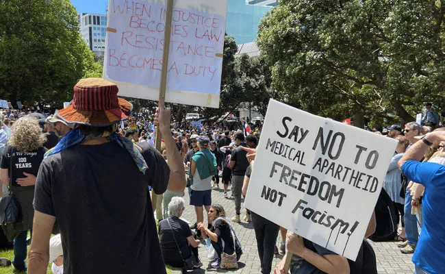 people protest against covid vaccination and lockdown in new zealand