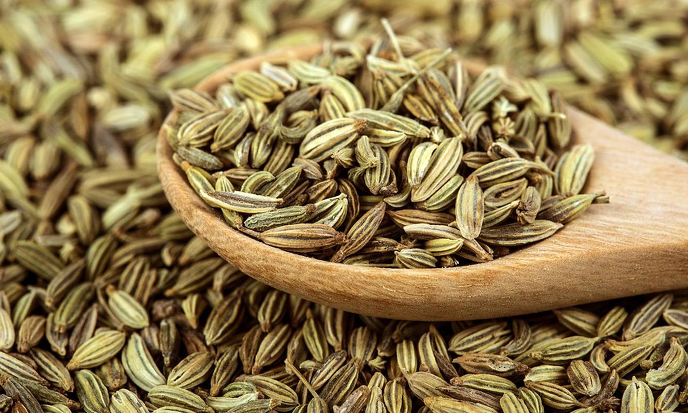 जानिए सौंफ का इस्तेमाल स्किन के लिए कितना लाभदायक है