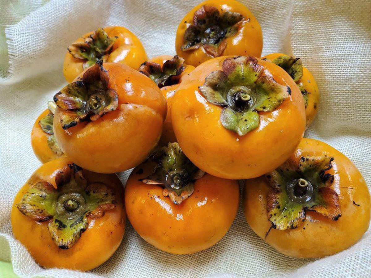 Persimmon in hindi hotsell