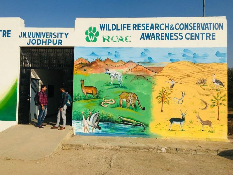 जेएनवीयू: पहली बार वन्य जीव पर्यटन व वन्य जीव साइंस पर होगी पढ़ाई